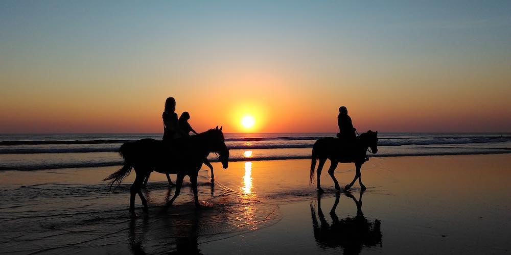 Beach Horse Riding Experience