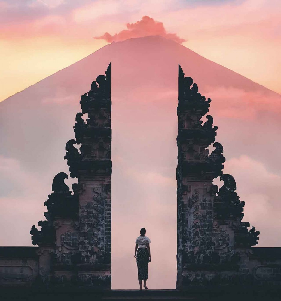 Professional tour guide